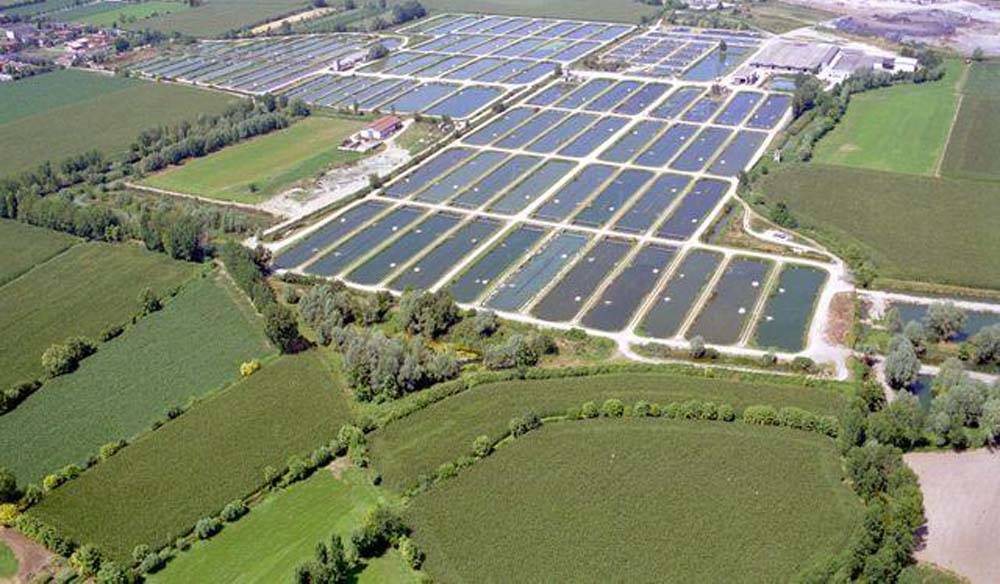 SIA grandi derivazioni d'acqua allevamenti ittici - Calvisano (BS)